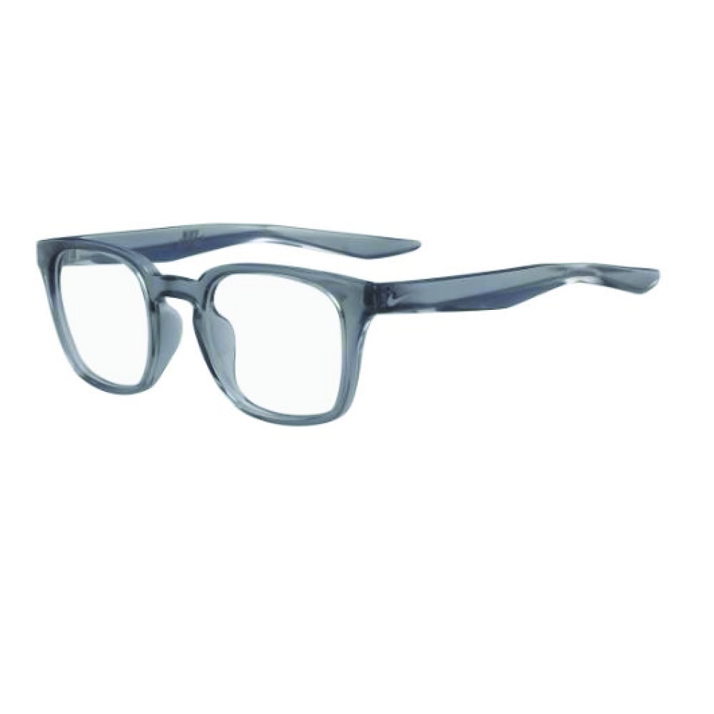 nike sb clear glasses