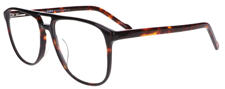 Geek North Eyeglasses, Tortoise frame. Angled left