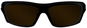 lc-polarized-brown3