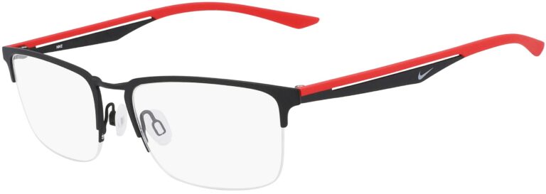 Nike 4313 Glasses