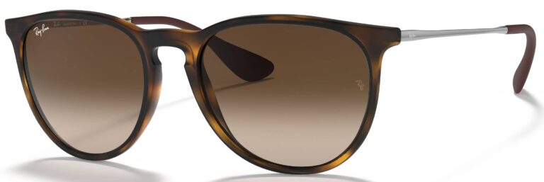 Ray Ban Erika Classic Sunglasses