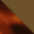 tortoise-lightbrown-swatch